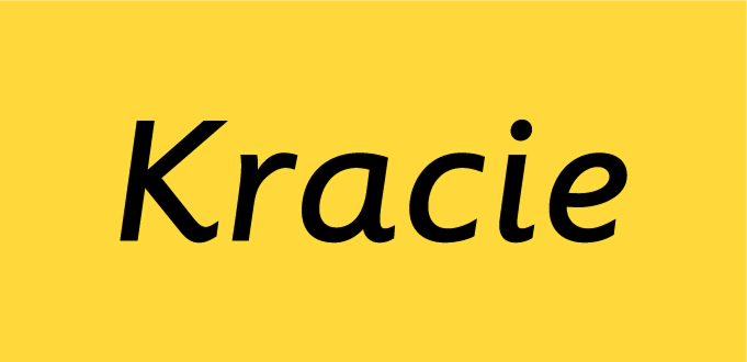 Partners Logo